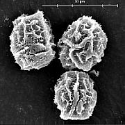 Vstup do fotogalerie