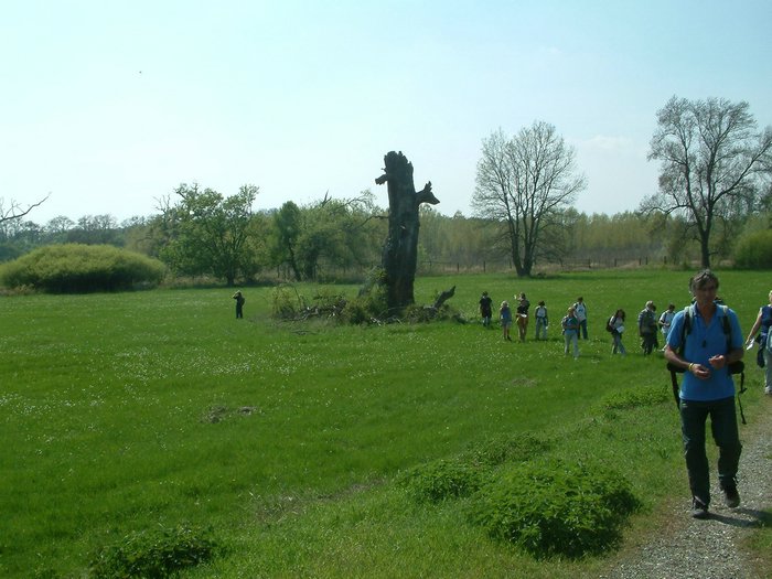 DSCF0053.jpg