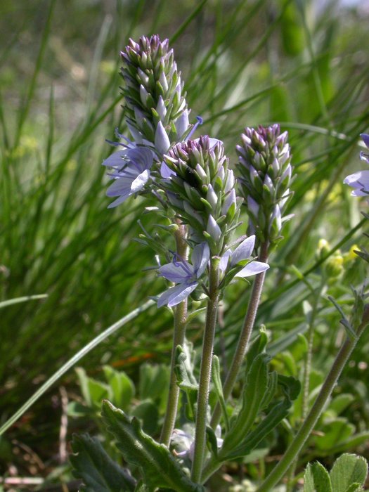 dscn9498.jpg