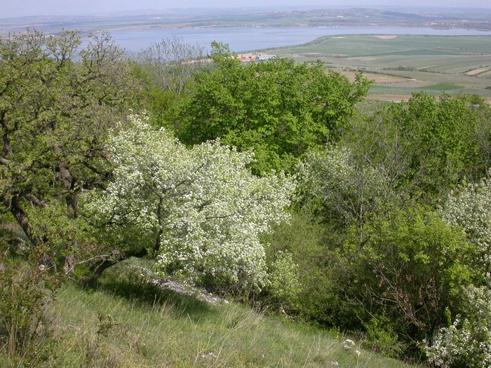 dscn9561.jpg