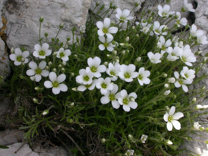dscn9585.jpg