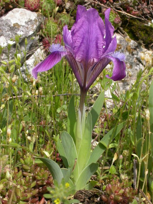 dscn9596.jpg