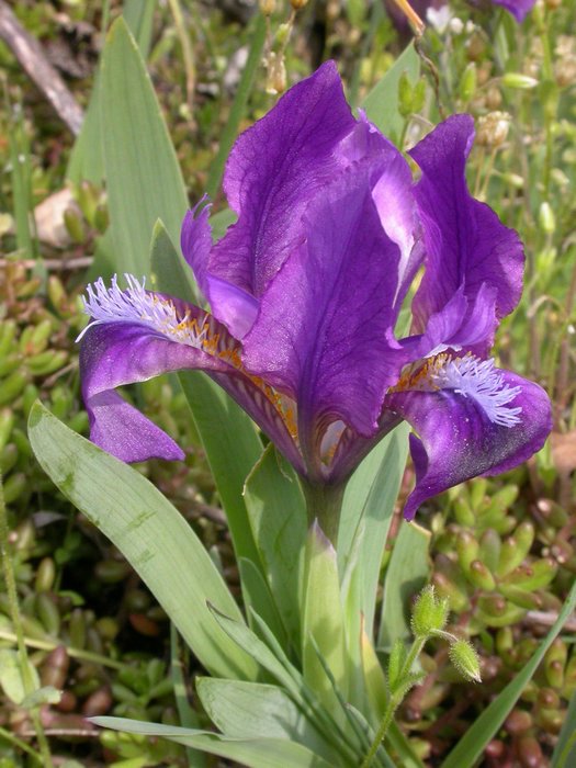 dscn9597.jpg