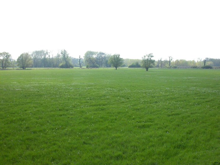 dscn9627.jpg