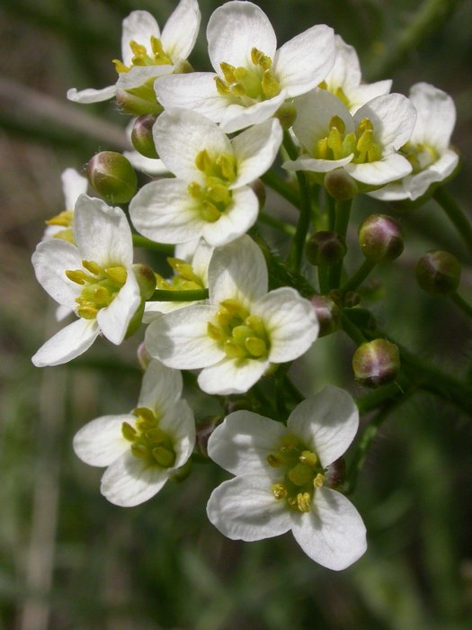 dscn9644.jpg
