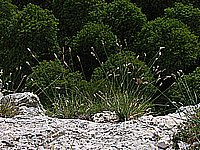 IMG_1899.jpg