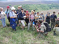 IMG_1971.jpg