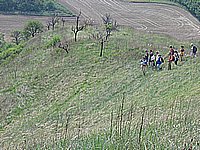 IMG_1976.jpg