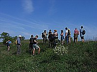 IMG_2008.jpg