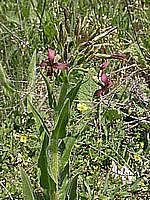 dscn9501.jpg
