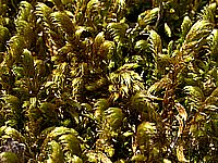 dscn9508.jpg