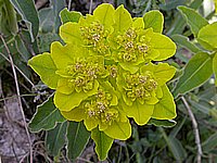 dscn9517.jpg