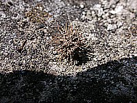 dscn9536.jpg