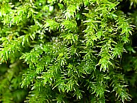 dscn9545.jpg