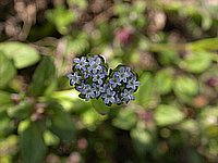 dscn9549.jpg