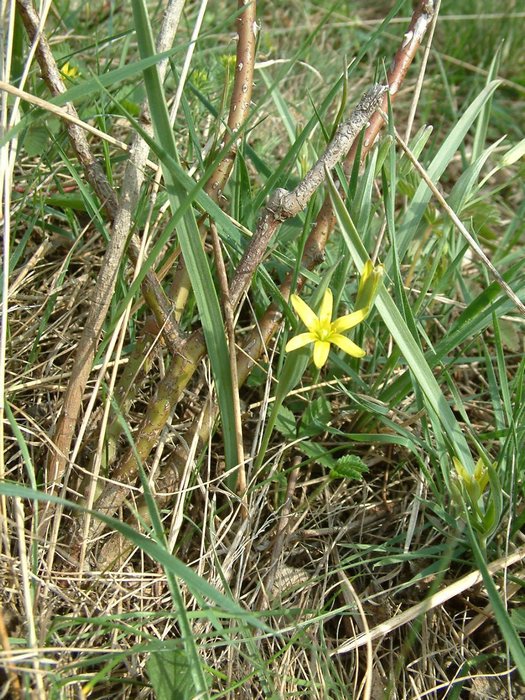 DSCF0005.JPG
