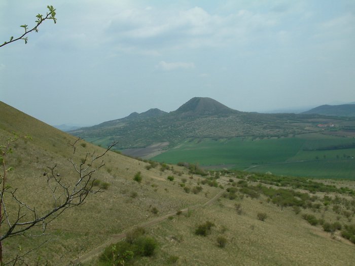 DSCF0010.JPG
