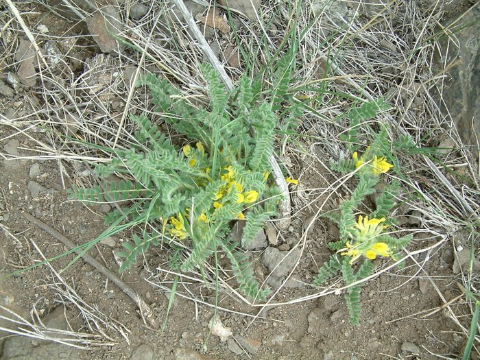 DSCF0014.JPG