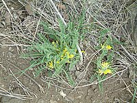 DSCF0014.JPG