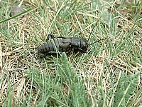 DSCF0021.JPG