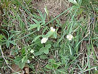DSCF0023.JPG